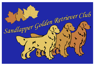 Sandlapper Golden Retriever Club