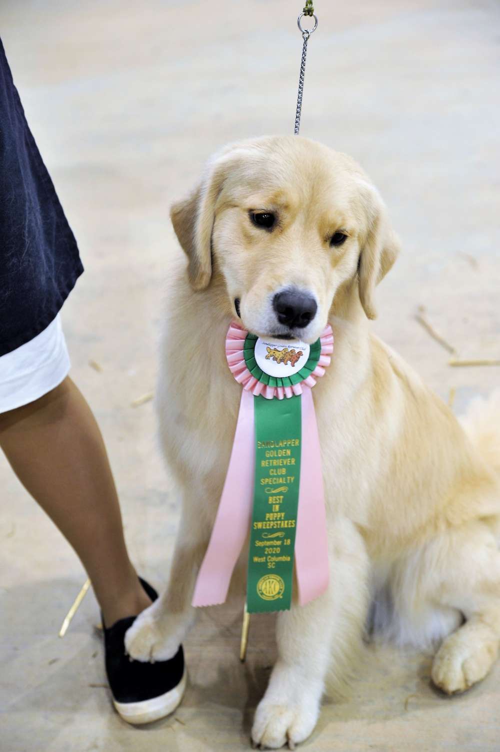 Powderhorn Run For The Roses "Tilly"