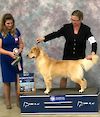 Can GCH, Am BIS Puppy Goodlife's Driving Miss Daisy "Piper"  TKI CGCU CGCA CCA BISS