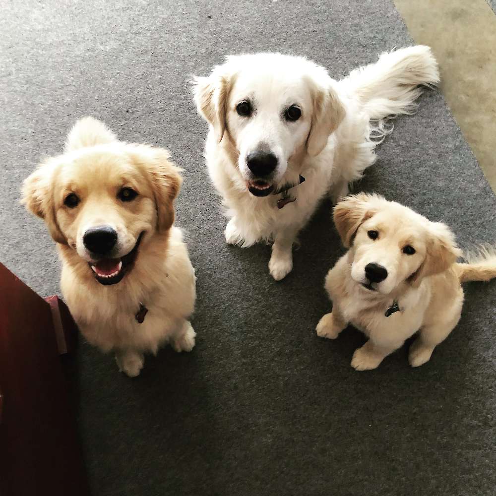 Piper, Betty and Tilly