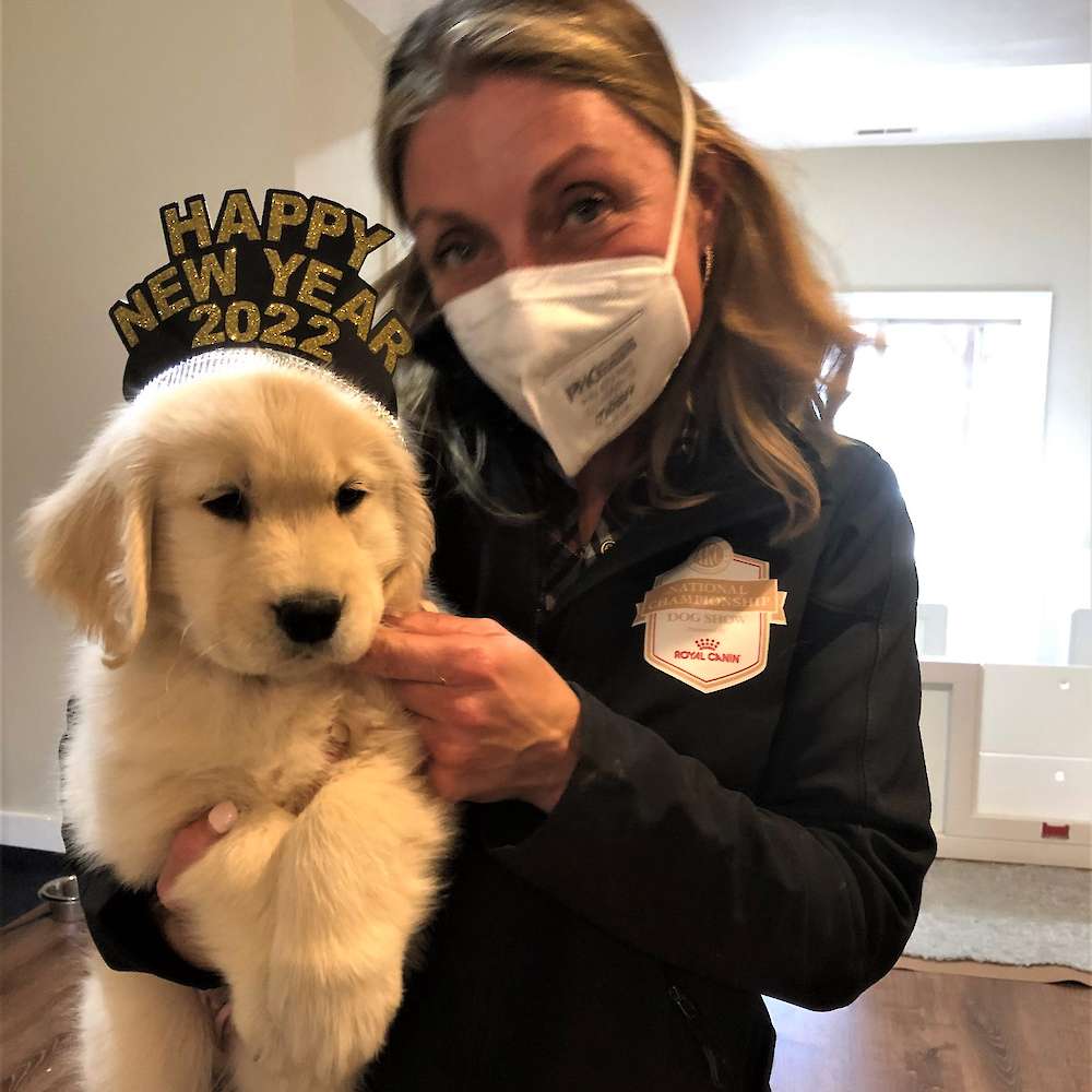 Little Miss Bodie (PINK GIRL)  a Tilly and Cowboy puppy